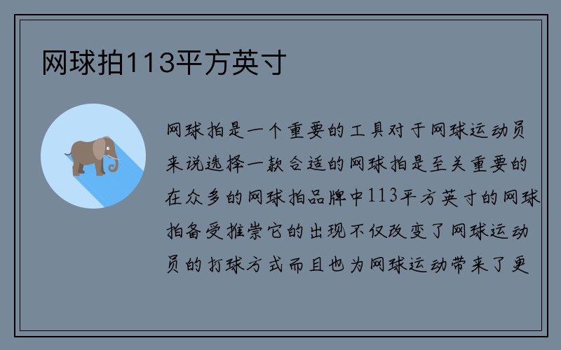 网球拍113平方英寸