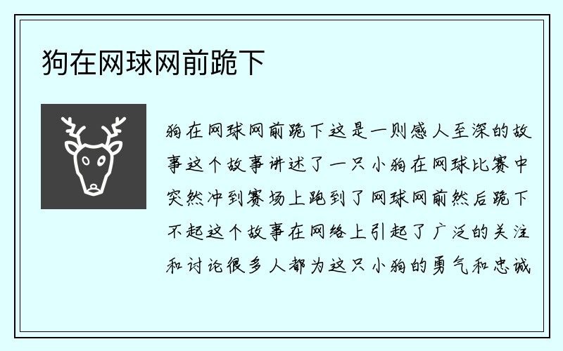 狗在网球网前跪下