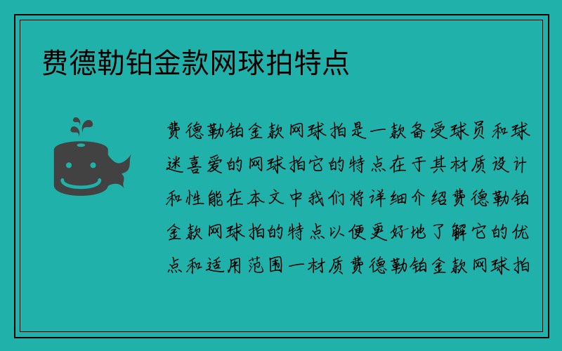 费德勒铂金款网球拍特点